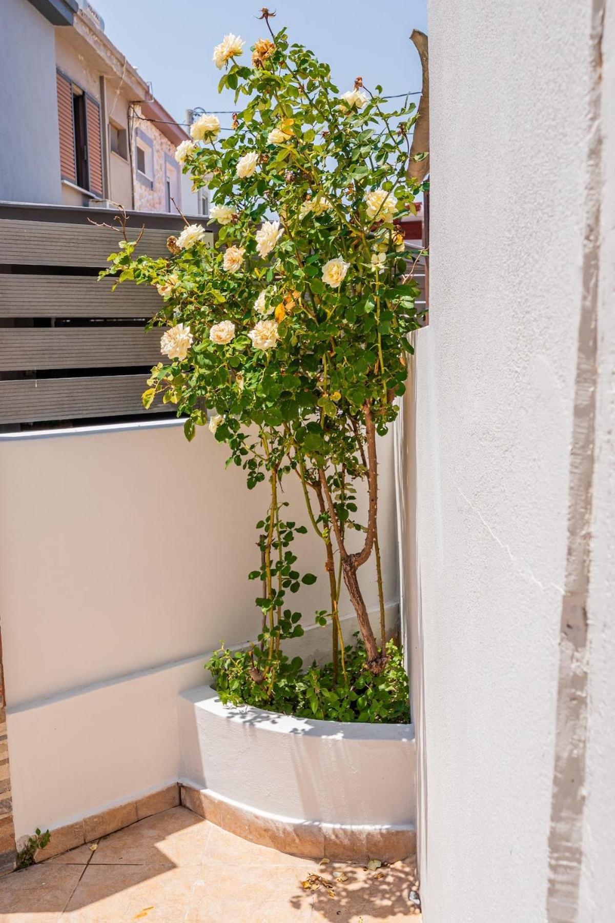 Vakantiehuis Helios House